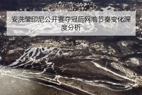 安洗莹印尼公开赛夺冠后网前节奏变化深度分析